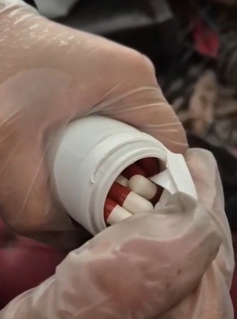 SAMSUN TEKKEKÖY’DE JANDARMA EKİPLERİNİN OPERASYONUNDA 2 BİN 200 SENTETİK ECZA HAPI ELE GEÇİRİLDİ...