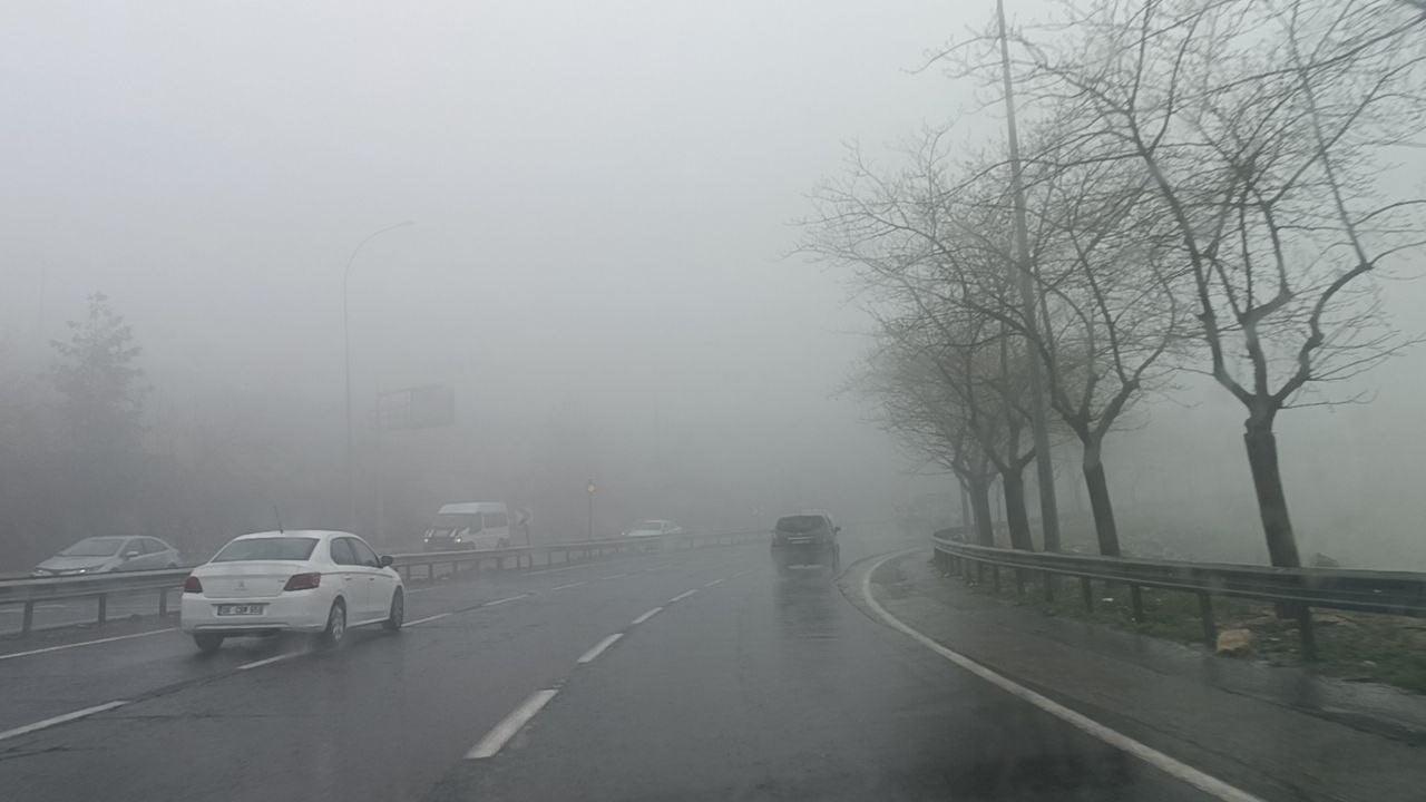 ŞANLIURFA'DA YOĞUN SİS ETKİLİ OLDU