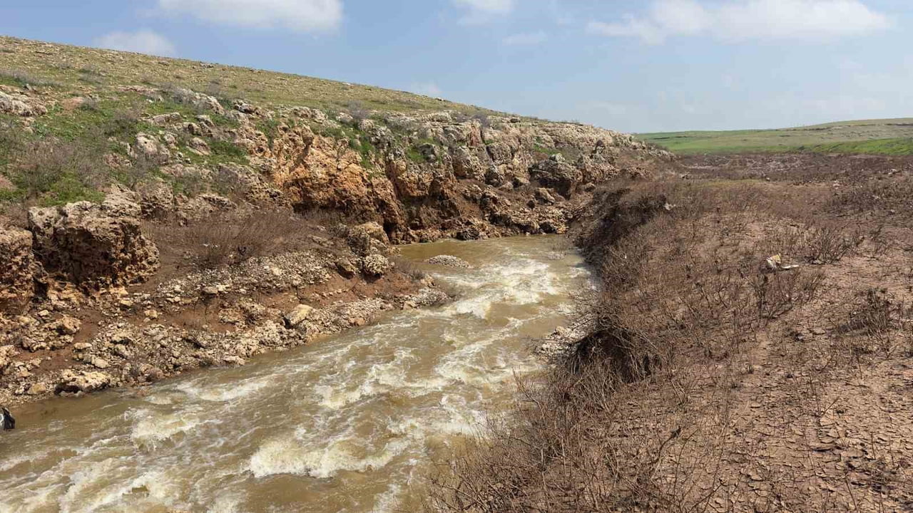 ŞANLIURFA'NIN CEYLANPINAR İLÇESİNDE HER YIL BÜYÜK MERAK UYANDIRAN VE BU YILKİ AŞIRI YAĞIŞLARLA...