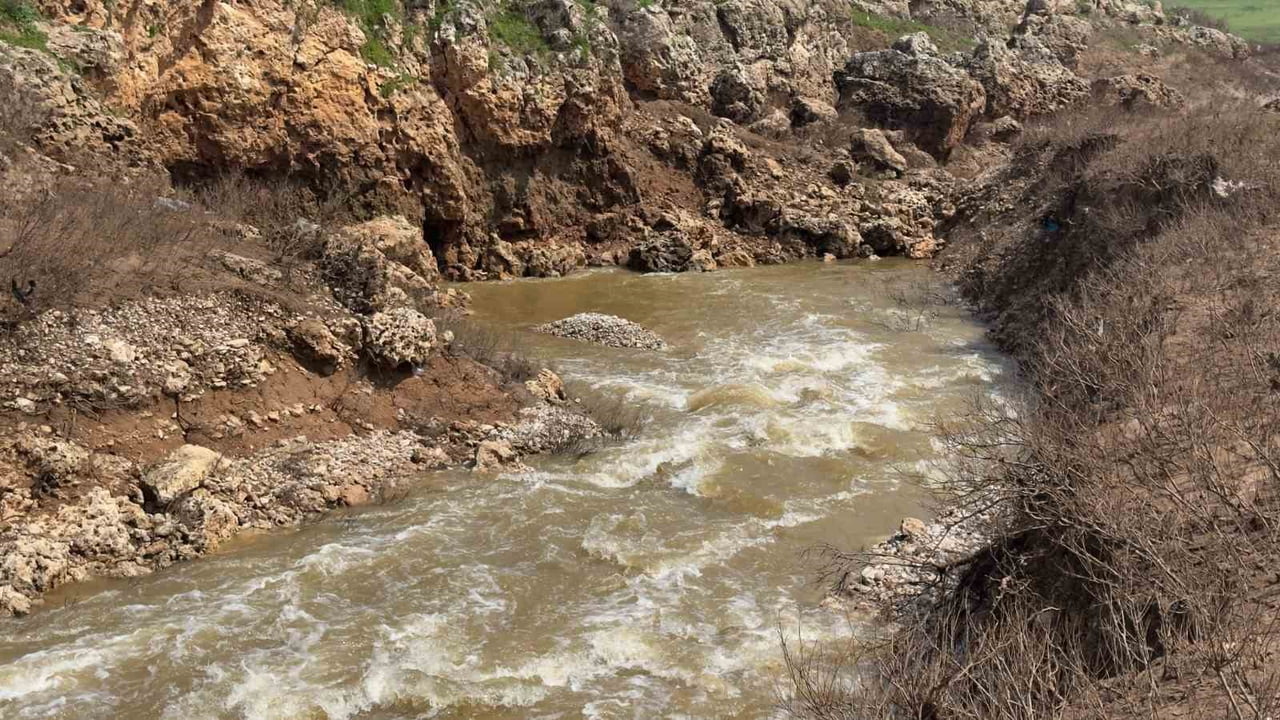 ŞANLIURFA'NIN CEYLANPINAR İLÇESİNDE HER YIL BÜYÜK MERAK UYANDIRAN VE BU YILKİ AŞIRI YAĞIŞLARLA...