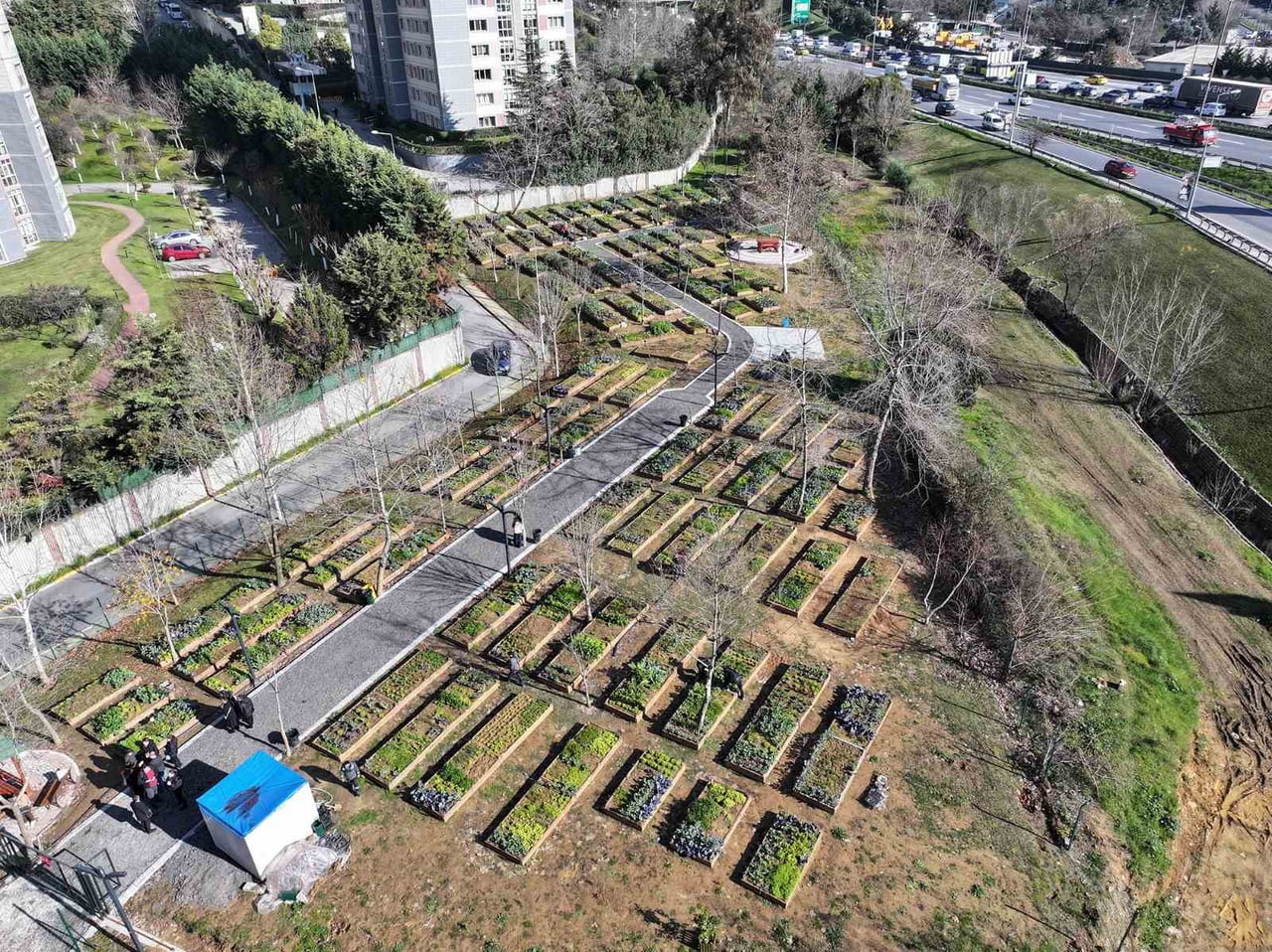 ŞEHRİN ORTASINDA DOĞAYLA BULUŞMA İMKÂNI SAĞLAYAN KENT BOSTANLARI, 6 AY BOYUNCA KENDİ ÜRÜNLERİNİ...