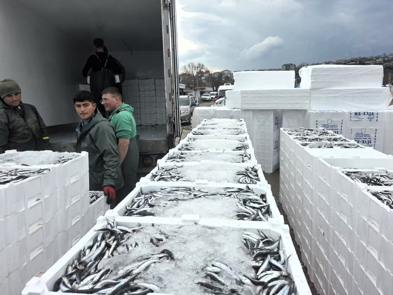 SEZON BOYUNCA 15 MİLYON 270 BİN 699 KİLOGRAM HAMSİ KARAYA ÇIKARILDI.