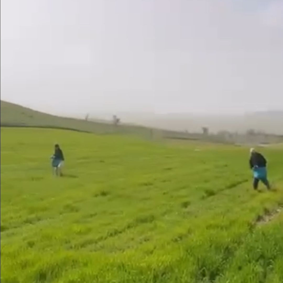SİİRT'TE BU YIL ETKİLİ OLAN YOĞUN YAĞIŞLAR, TARIM ARAZİLERİNİ ÇAMURLA KAPLADI. TARLALARA TRAKTÖRLE...