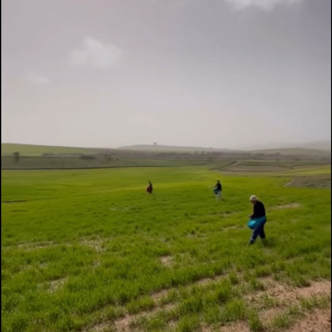 SİİRT'TE BU YIL ETKİLİ OLAN YOĞUN YAĞIŞLAR, TARIM ARAZİLERİNİ ÇAMURLA KAPLADI. TARLALARA TRAKTÖRLE...