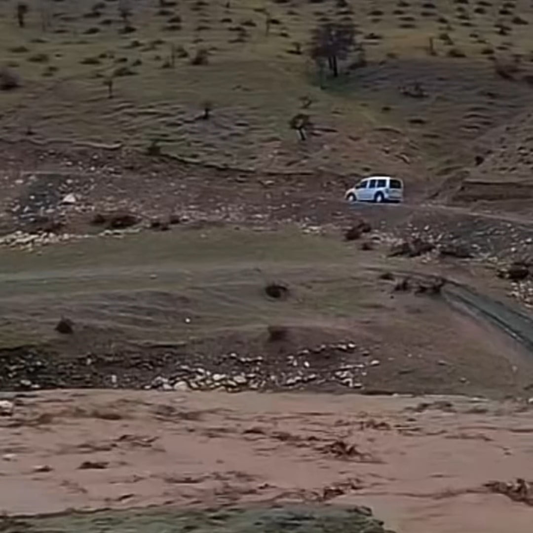 SİİRT'TE TAŞAN DERELER HAYVANCILIĞI VURDU