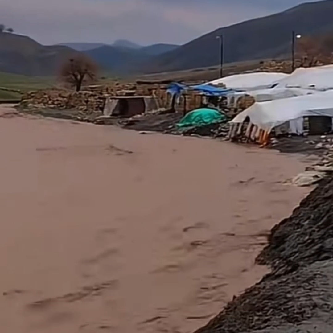 SİİRT'TE TAŞAN DERELER HAYVANCILIĞI VURDU