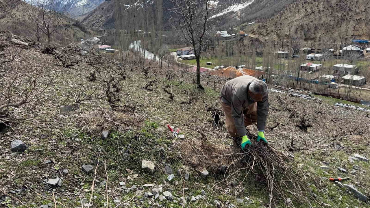 ŞIRNAK'IN BEYTÜŞŞEBAP İLÇESİ AYNI ANDA İKİ AYRI MEVSİMİ YAŞIYOR, BİR YANDA KARLA MÜCADELE...