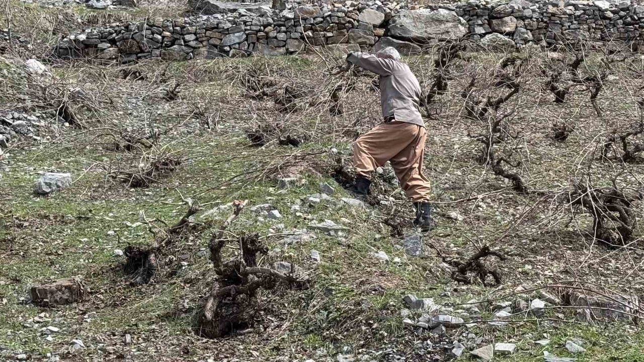 ŞIRNAK'IN BEYTÜŞŞEBAP İLÇESİ AYNI ANDA İKİ AYRI MEVSİMİ YAŞIYOR, BİR YANDA KARLA MÜCADELE...