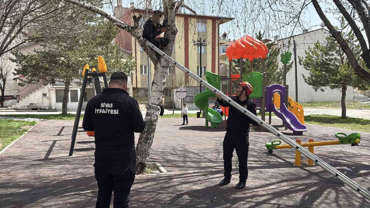 SİVAS’TA DALLARA TAKILAN TOPUNU ALMAK İÇİN AĞACA ÇIKAN ÇOCUK ÇIKTIĞI YERDEN İNEMEYİNCE YARDIMINI...