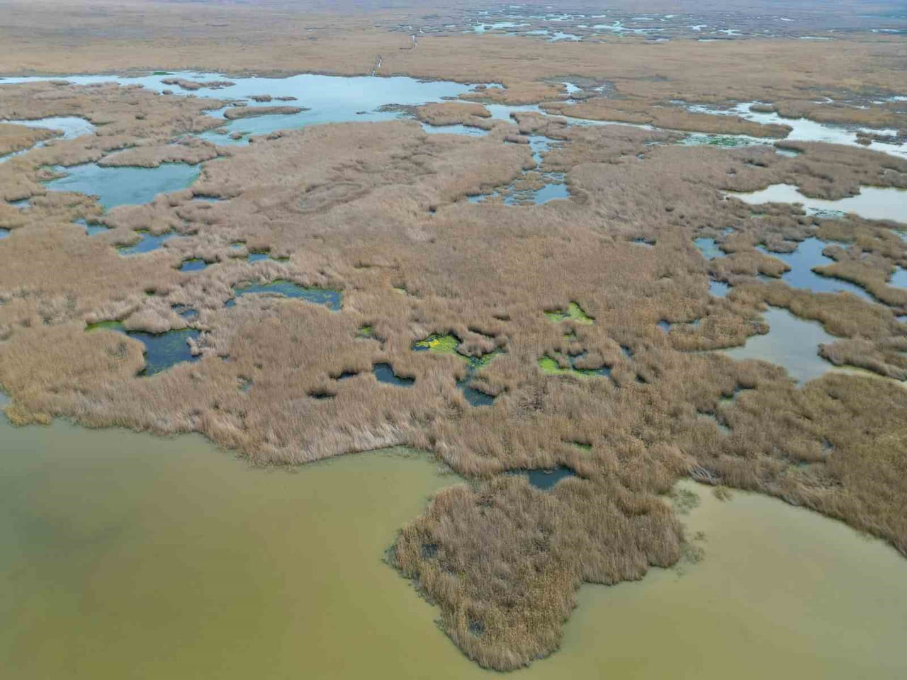 SON YILLARDA SIKLIKLA KURAKLIKLA GÜNDEME GELEN EBER GÖLÜ'NDE SON YAŞANAN YAĞIŞLARLA BİRLİKTE SU...
