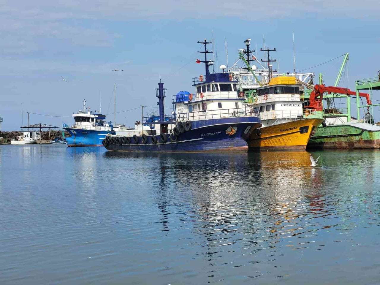 SU ÜRÜNLERİ AVCILIĞINI DÜZENLEYEN TEBLİĞ DOĞRULTUSUNDA 15 NİSAN İTİBARİYLE BALIKÇILIKTA GENEL AV...