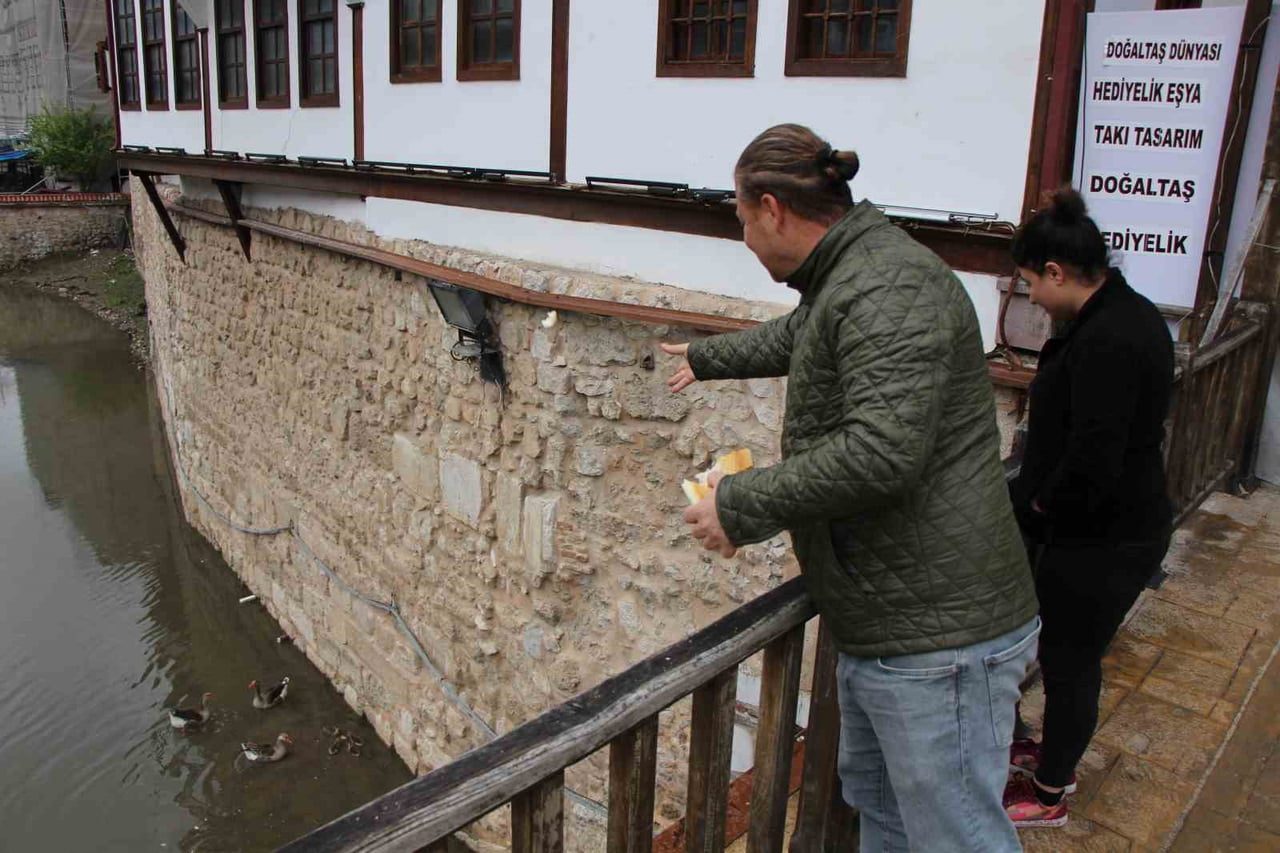 TARİHİ YALIBOYU EVLERİNİN SIRALANDIĞI NEHİR KIYISINDA DOLAŞIP BESLENME SAATLERİ GELDİĞİNDE ALÇAK...