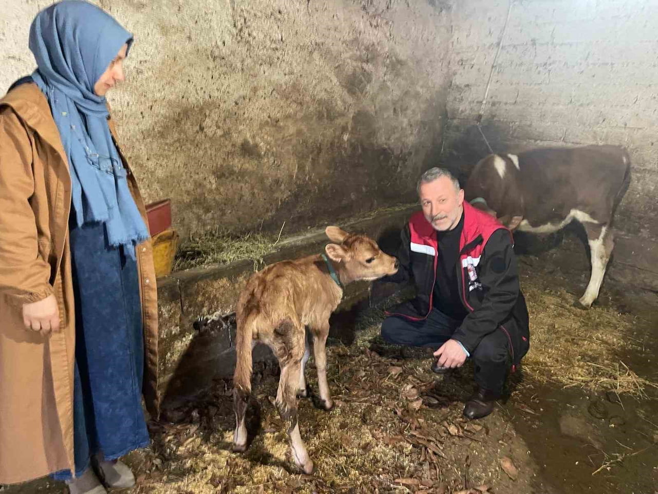 TARIM VE ORMAN BAKANLIĞI TARAFINDAN HAYVANCILIĞIN GELİŞTİRİLMESİ, DAMIZLIK HAYVAN SAYISININ...