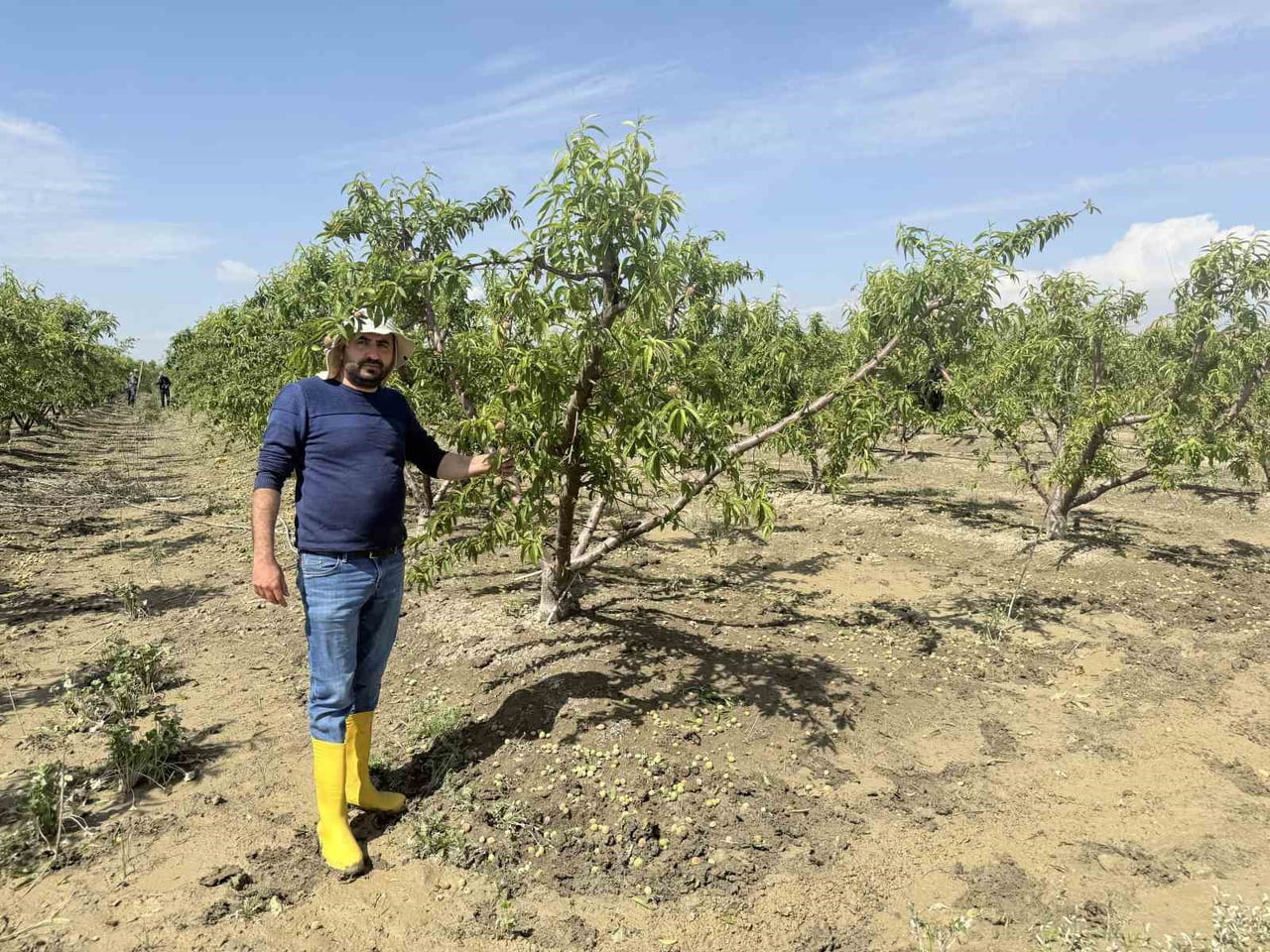 TARSUS SULAR ALTINDA KALAN TARIM ARAZİLERİNDEN SULAR ÇEKİLMEYE BAŞLADI, ÇİFTÇİ MAHMUT DELİ ARAZİDE...