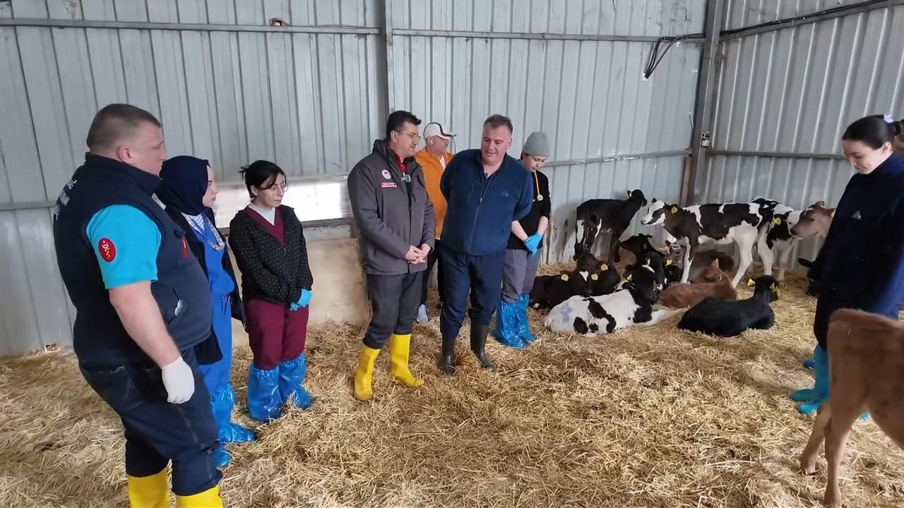 TEKİRDAĞ'DA FAALİYET GÖSTEREN BİR BÜYÜKBAŞ HAYVANCILIK İŞLETMESİNE TEKNİK İNCELEME VE EĞİTİM...