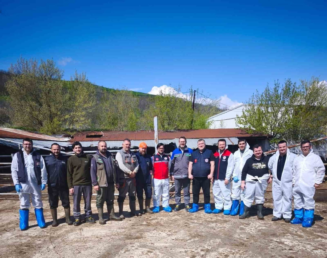 TEKİRDAĞ'DA İTHAL DAMIZLIK HAYVANLARDAN ALINAN KAN NUMUNELERİ HASTALIK RİSKLERİNE KARŞI ANALİZ...