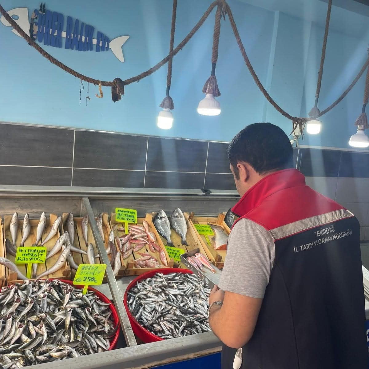 TEKİRDAĞ’DA SU ÜRÜNLERİ DENETİMLERİ ARALIKSIZ SÜRÜYOR