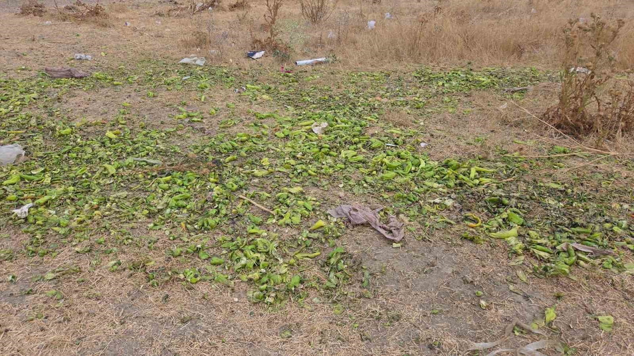 TİCARET BAKANLIĞI, SOSYAL MEDYADA YENİDEN DOLAŞIMA GİREN VE BİR ÜRETİCİYE AİT BİBERLERİN...