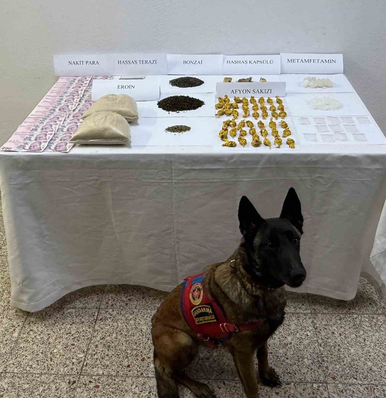 TOKAT’TA JANDARMA EKİPLERİNİN YÜRÜTTÜĞÜ OPERASYONUNDA ÇOK SAYIDA UYUŞTURUCU MADDE ELE...