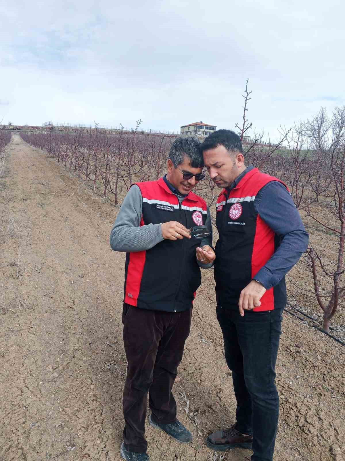 TOMARZA İLÇE TARIM VE ORMAN MÜDÜRLÜĞÜ TARAFINDAN YAPILAN METEOROLOJİK ZİRAİ DON UYARILARININ...