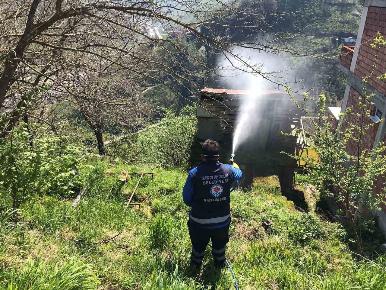 TRABZON'DA BÜYÜKŞEHİR BELEDİYESİ, TRABZON İL TARIM VE ORMAN MÜDÜRLÜĞÜ KOORDİNESİNDE YÜRÜTÜLEN...