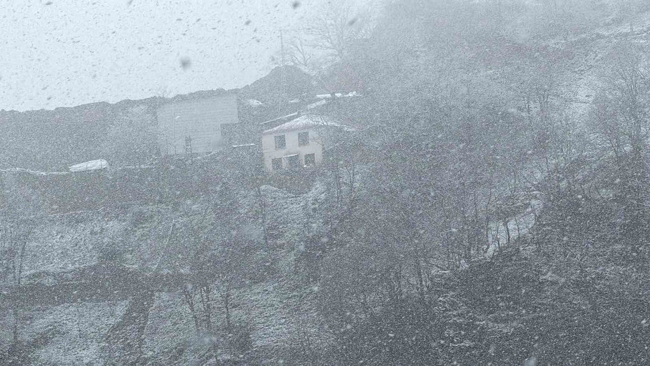 TRABZON İLE GÜMÜŞHANE ARASINDA YER ALAN ZİGANA DAĞI'NIN MAÇKA İLÇESİNE BAKAN YAMAÇLARINDA YAĞAN...