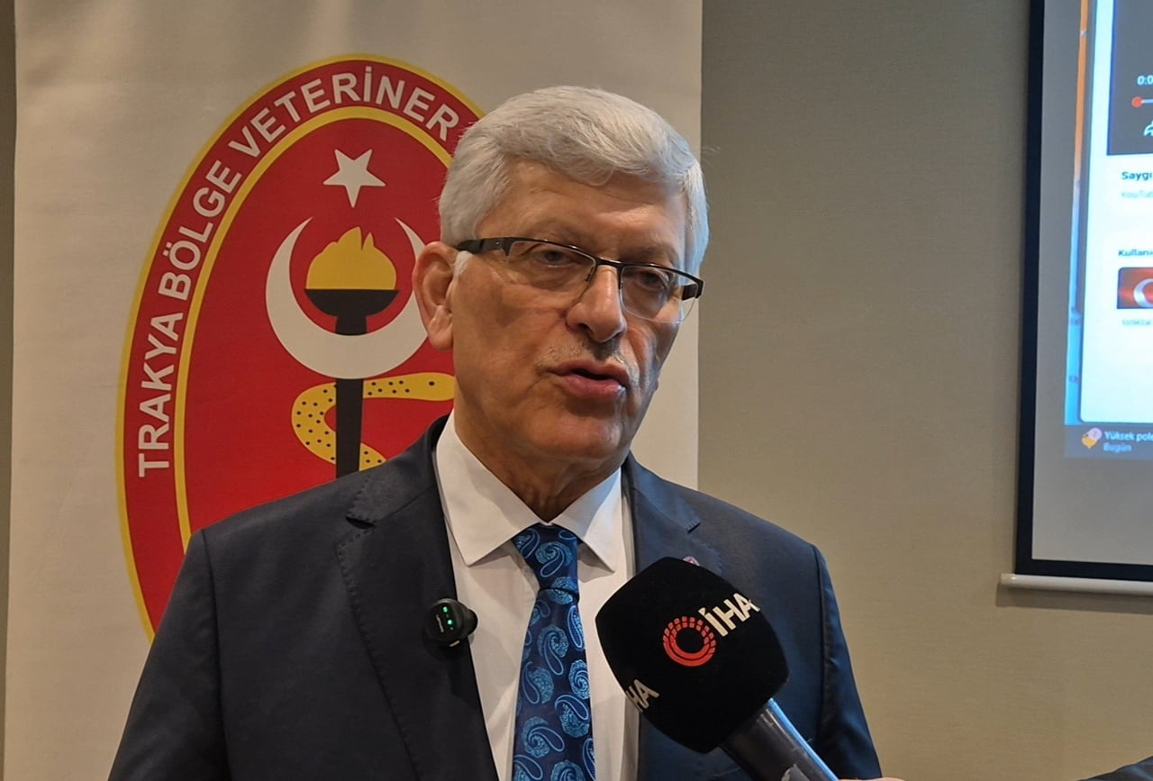 TÜRK VETERİNER HEKİMLERİ BİRLİĞİ MERKEZ KONSEYİ BAŞKANI ALİ EROĞLU, SAHİPSİZ HAYVANLARA YÖNELİK...