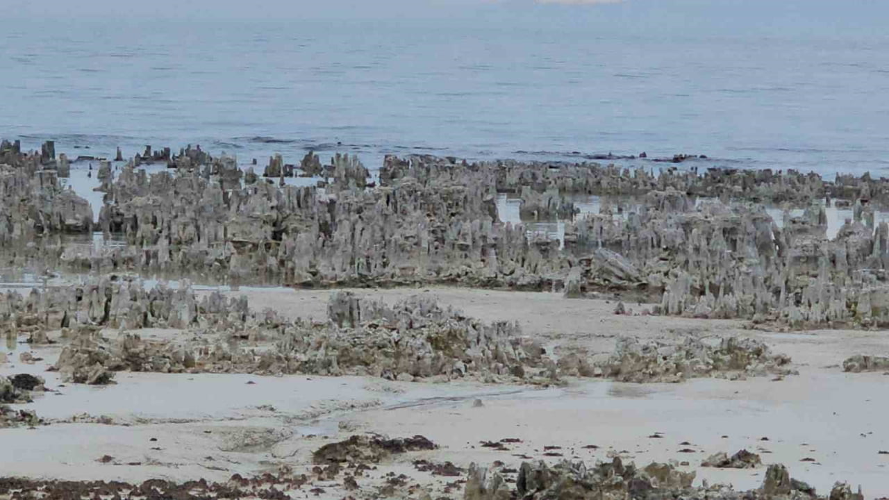 TÜRKİYE'NİN EN BÜYÜK GÖLÜ OLAN VAN GÖLÜ'NÜN ADİLCEVAZ SAHİLİNDE YAŞANAN YAĞIŞLARA RAĞMEN SU...