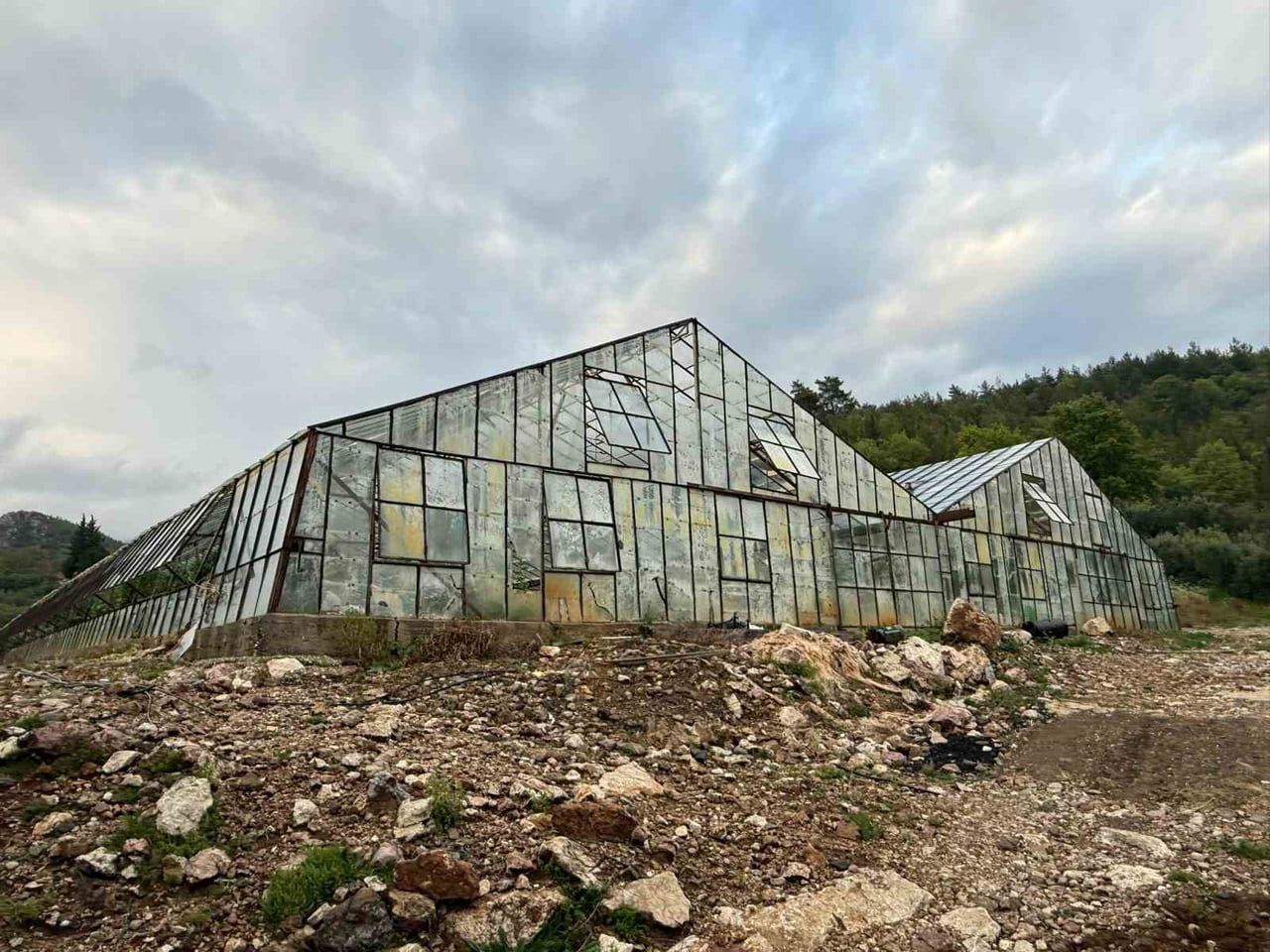 TÜRKİYE'NİN EN BÜYÜK ÖRTÜ ALTI KARPUZ ÜRETİMİNİN YAPILDIĞI ANTALYA'NIN SERİK İLÇESİNDE ÜRETİCİLER...