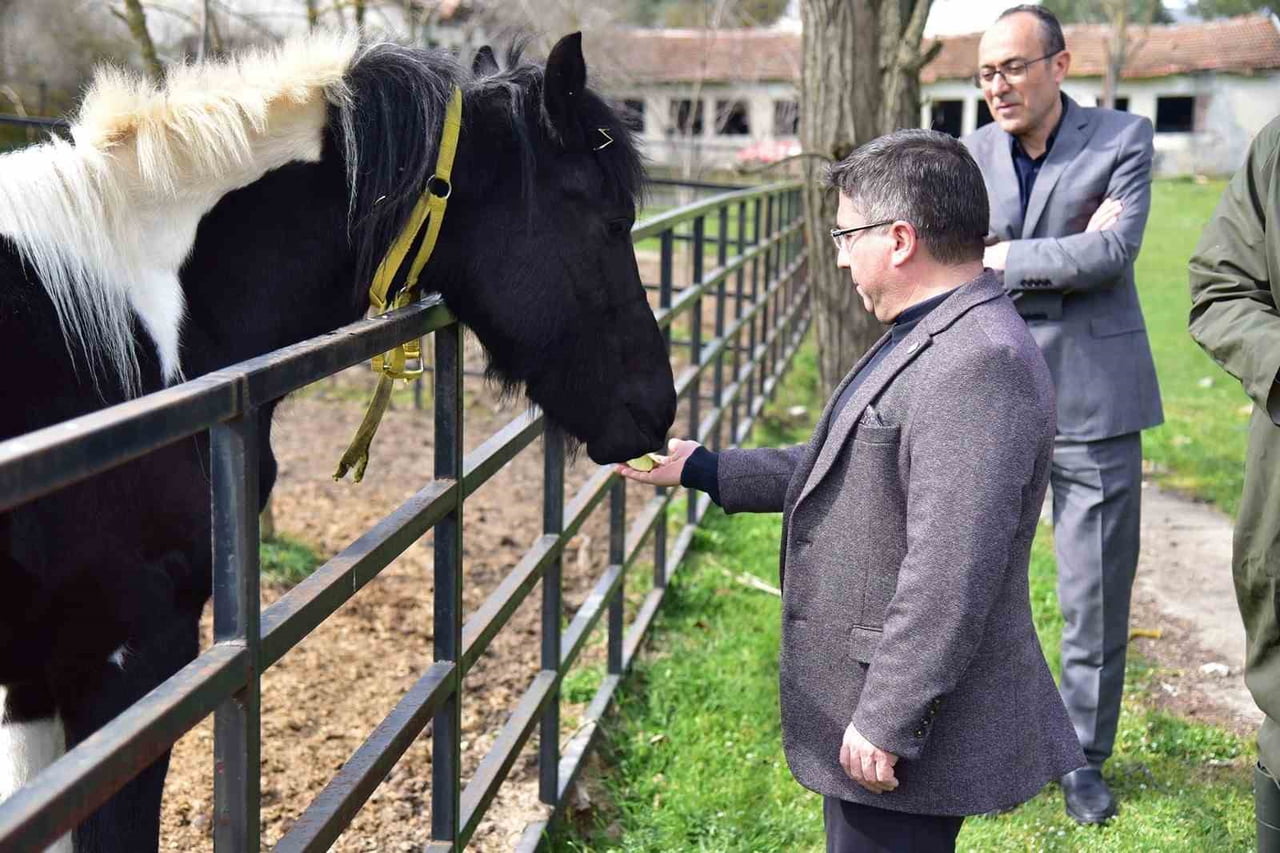 TÜRKİYE'NİN İLK TÜP TAYI "BALAT" İÇİN GERÇEKLEŞTİRİLEN DOĞUM GÜNÜ ETKİNLİĞİNE BALIKESİR...