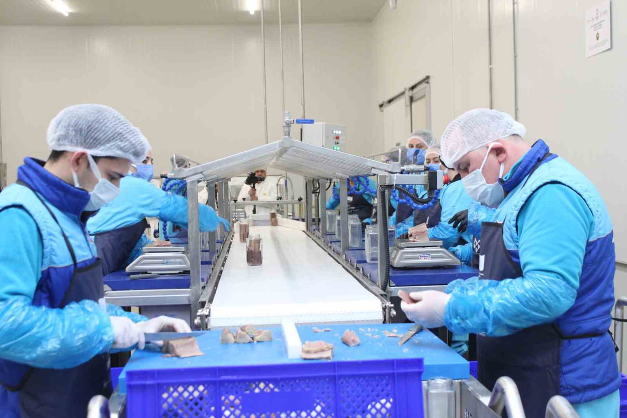 TÜRKİYE’DE SU ÜRÜNLERİ ALANINDA COĞRAFİ İŞARETLİ İLK ÜRÜN OLAN VE 3 BİN YILLIK GEÇMİŞE SAHİP SİNOP...