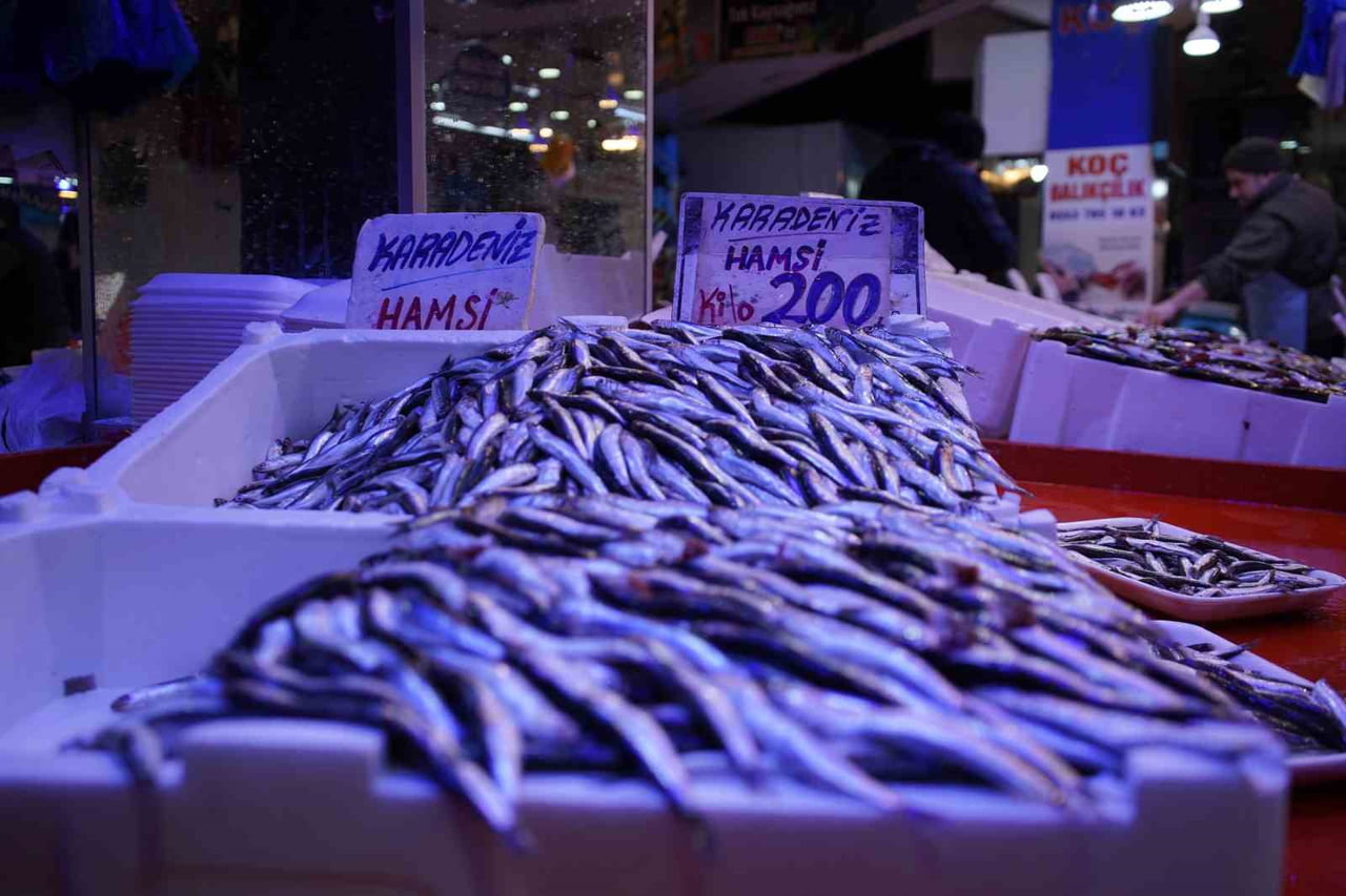 TÜRKİYE KARASULARINDA 15 NİSAN İTİBARIYLA BAŞLAYACAK OLAN GENEL AV YASAĞINA SAYILI GÜNLER KALA...