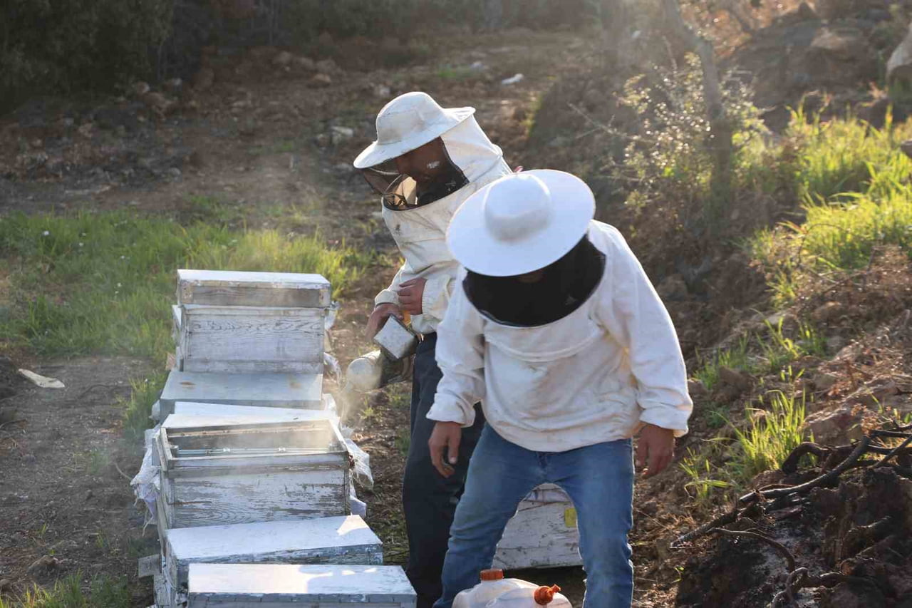 TÜRKİYE’NİN EN ÖNEMLİ ARICILIK VE BAL ÜRETİM MERKEZLERİNİN BAŞINDA YER ALAN AYDIN’DA SEZON...