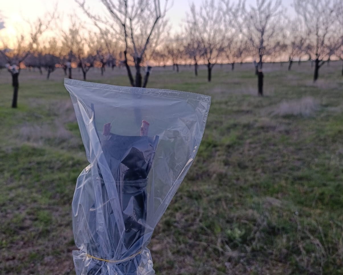 UŞAK İL TARIM VE ORMAN MÜDÜRLÜĞÜ, ZİRAİ DON RİSKİNE KARŞI BADEM ÜRETİCİLERİNİ UYARDI. AŞI YAPILAN...