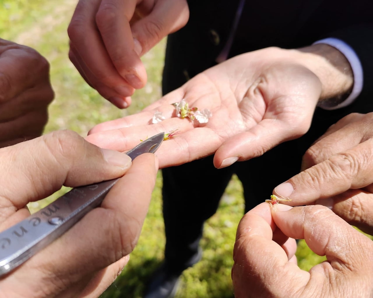 UŞAK’TA ETKİLİ OLAN MEVSİMSEL HAVA OLAYLARININ ARDINDAN İL TARIM VE ORMAN MÜDÜRLÜĞÜ EKİPLERİ...
