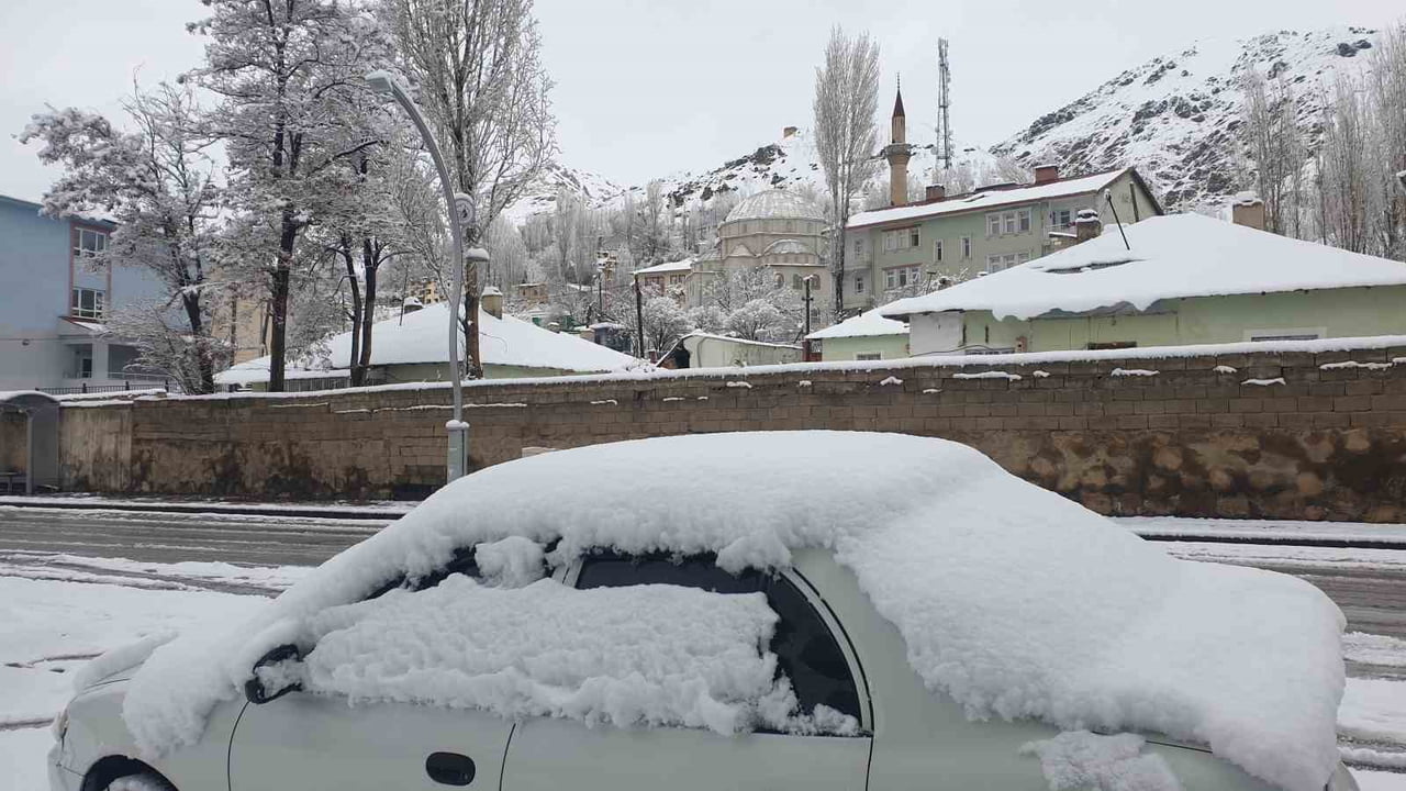 VAN'IN BAŞKALE İLÇESİNDE NİSAN AYINDA ETKİLİ OLAN YOĞUN KAR YAĞIŞI HAYATI OLUMSUZ...
