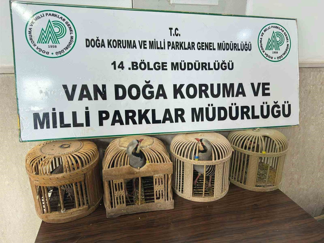 VAN'IN GEVAŞ İLÇESİNDE KAFES AVCILIĞI YAPAN 1 KİŞİYE 86 BİN 278 LİRA  PARA CEZASI...