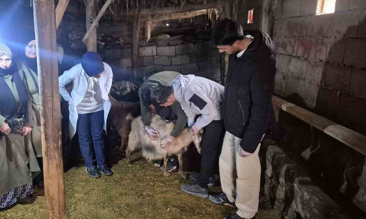 VAN'IN ÖZALP İLÇESİNDE TARIM VE HAYVANCILIKLA UĞRAŞAN VATANDAŞLARA YÖNELİK ÖNEMLİ BİR EĞİTİM...