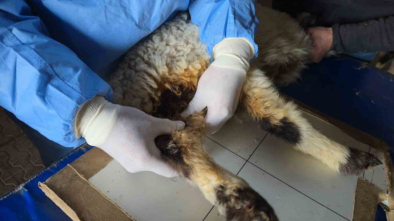 VAN'IN TUŞBA İLÇESİNDE 5.2 BÜYÜKLÜĞÜNDEKİ MEYDANA GELEN DEPREMDE ENKAZ ALTINDAN SAĞ ÇIKARILAN...