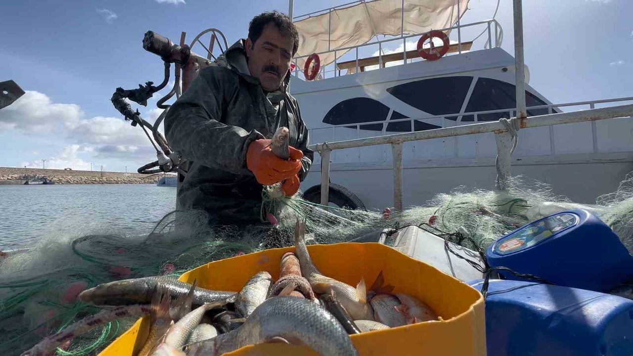 VAN GÖLÜ HAVZASI’NIN EN ÖNEMLİ DEĞERLERİNDEN BİRİ OLAN İNCİ KEFALİNİN (VAN BALIĞI) ÜREME YOLCULUĞU...