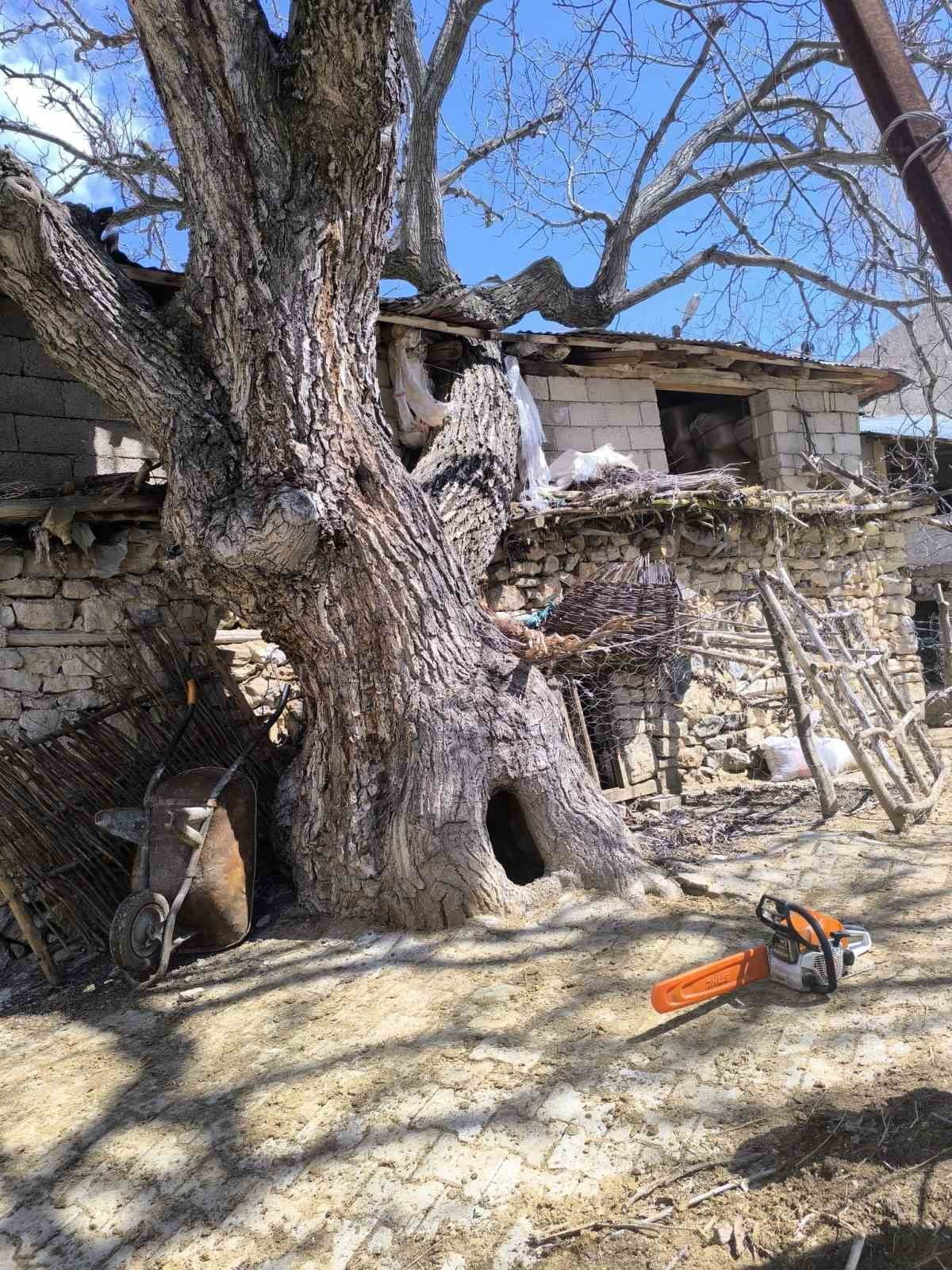 VAN’IN ÇATAK İLÇESİNE BAĞLI SÖZVEREN MAHALLESİ’NDE ETKİLİ OLAN YAĞIŞ VE ŞİDDETLİ RÜZGAR, BİR...