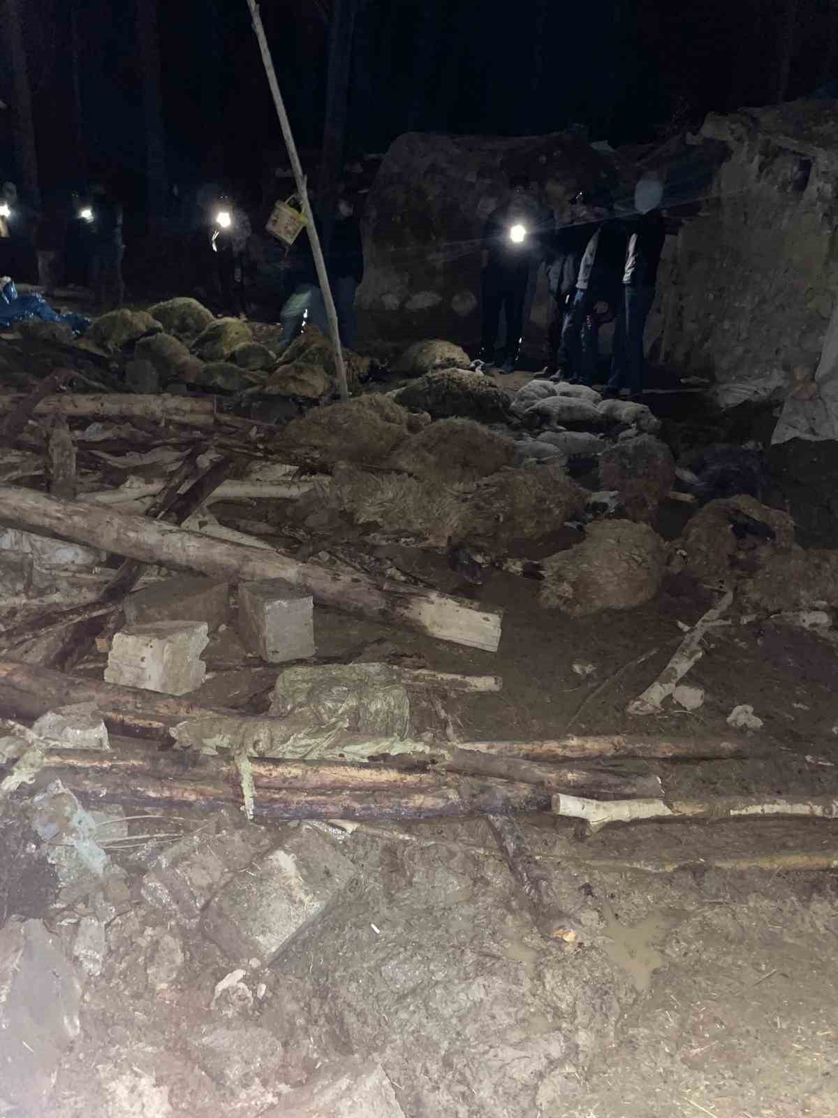 VAN’IN GÜRPINAR İLÇESİNDE  AHIRIN ÇÖKMESİ SONUCU 56 KÜÇÜKBAŞ HAYVAN TELEF OLURKEN, 1 İNEK DE...