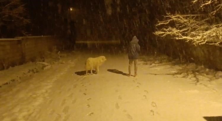VAN’IN ÖZALP İLÇESİNDE NİSAN AYINDA ETKİLİ OLAN KAR YAĞIŞINDAN DOLAYI İLÇE MERKEZİ BEYAZA...