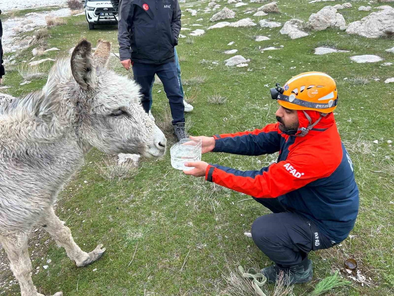 VAN’IN TUŞBA İLÇESİNDE SARP KAYALIKLARDA MAHSUR KALAN BİR EŞEK, AFAD EKİPLERİNİN MÜDAHALESİYLE...