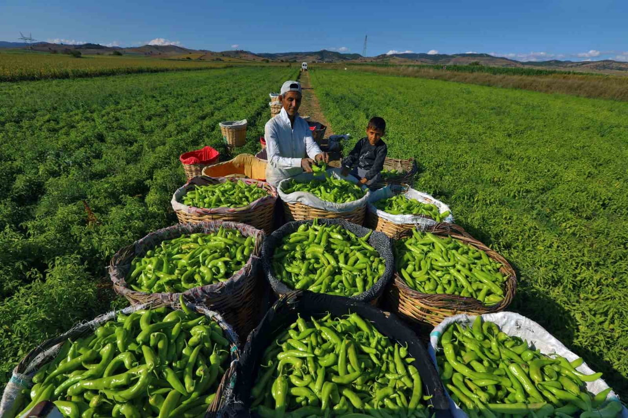YENİŞEHİR BELEDİYE BAŞKANI ERCAN ÖZEL, İLÇENİN TARIM VE SANAYİYLE BÜYÜDÜĞÜNÜ SÖYLEDİ. BAŞKAN ÖZEL...