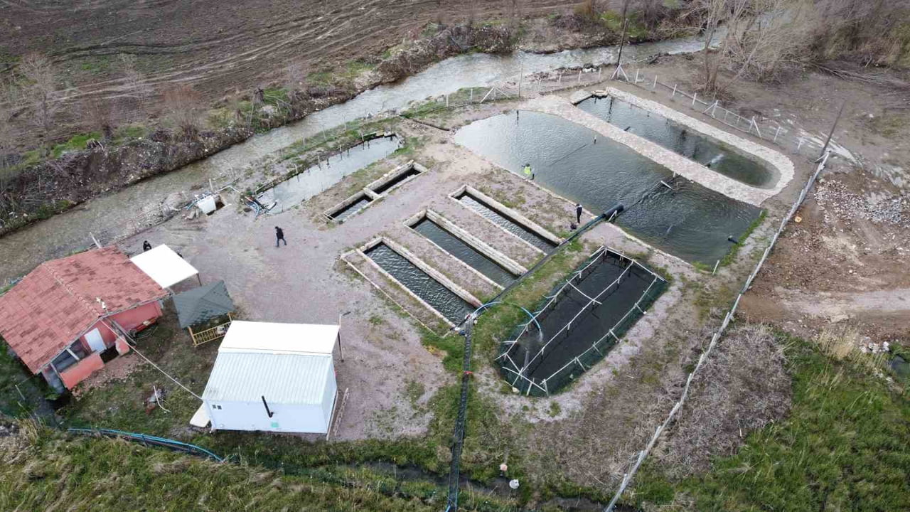 YOZGAT'IN ÇAYIRALAN İLÇESİNDE BELEDİYE TARAFINDAN İŞLETİLEN ALABALIK TESİSİ, HEM İLÇE SAKİNLERİNİN...