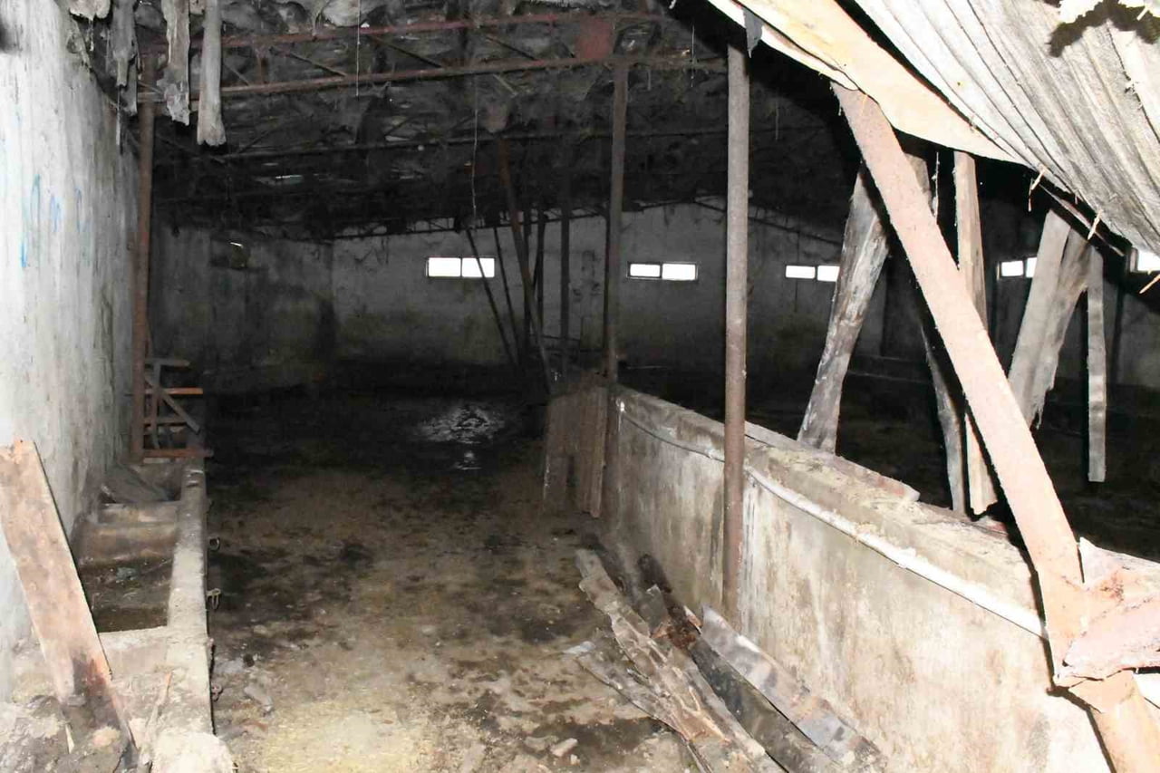 YOZGAT'TA ETKİLİ OLAN YAĞMUR SONRASI ÇATISI ÇÖKEN AHIRDAKİ BÜYÜKBAŞ HAYVANLAR AFAD EKİPLERİNİN...