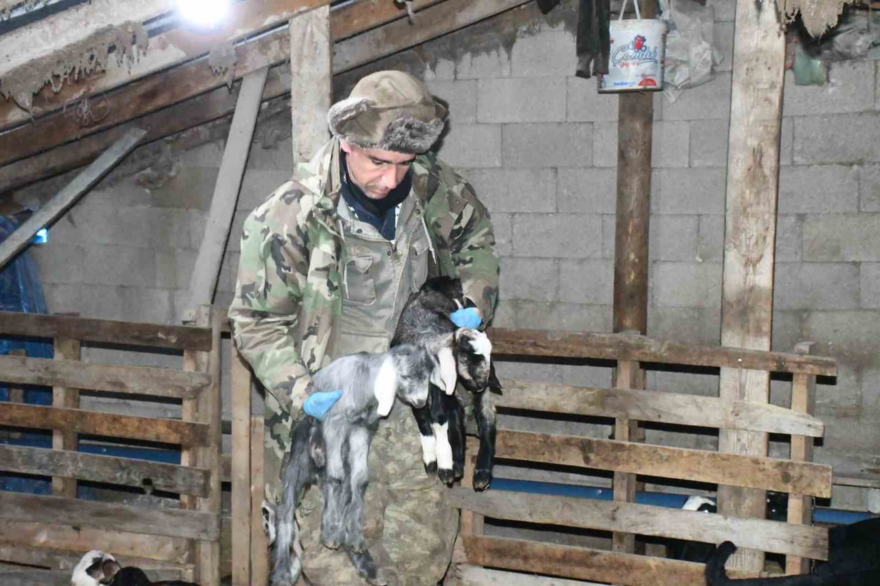 YOZGAT’IN AKDAĞMADENİ İLÇESİNE BAĞLI KUŞKAYASI MAHALLESİNDE KEÇİ YETİŞTİRİCİLİĞİ YAPAN ERKAN...