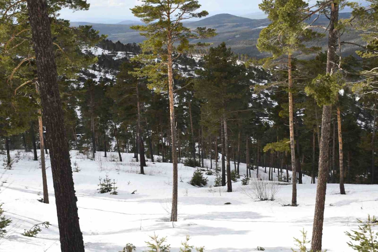 YOZGAT’IN AKDAĞMADENİ İLE ÇAYIRALAN İLÇELERİ ARASINDAKİ YÜKSEK RAKIMLI DAĞLARDA BAHARIN GELİŞİYLE...