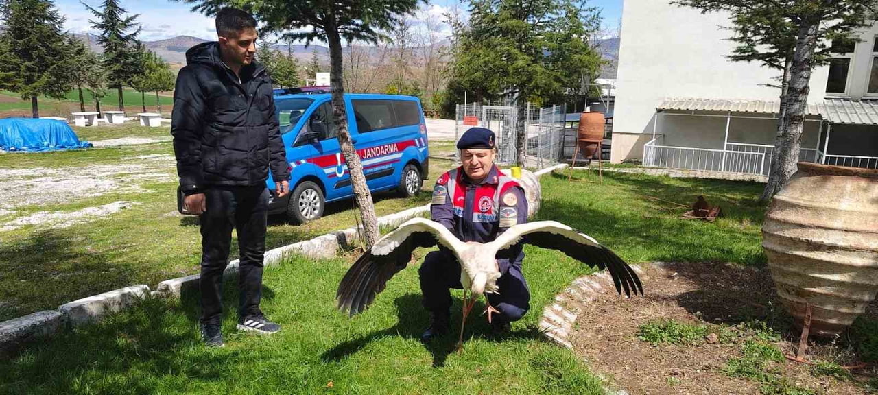 YOZGAT’TA BULUNAN HASTA LEYLEK KORUMA ALTINA ALINDI.-